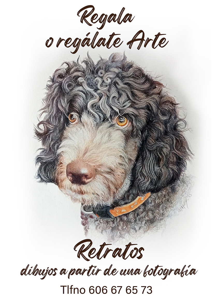 Dibujos a partir de fotografías